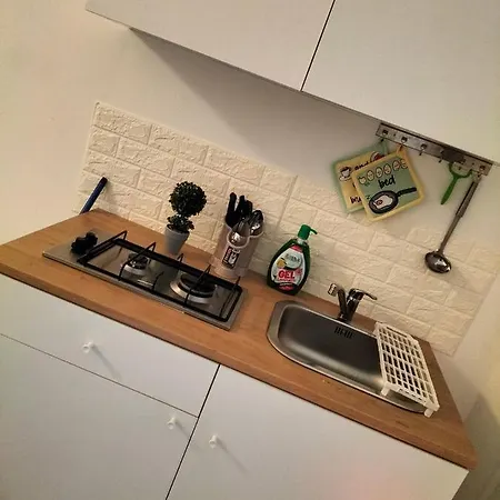 Mini Girasole * Reggio d'Emilie